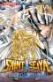  Saint Seiya - The lost canvas  T11 : , manga chez Kurokawa de Kurumada, Teshirogi