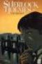  Sherlock Holmes T1 : Les origines 1/2, comics chez Soleil de Indro, Beatty, Aviña