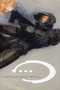 Halo : Graphic novel, comics chez Panini Comics de Nihei, Lewis, Faerber, Hammock, Bisley, Robinson, Lee, Moebius