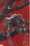  Wolverine – Revue V 2, T1 : Wolverine en Enfer (1/3) (0), comics chez Panini Comics de Aaron, Guedes, Wilson, McNiven