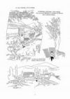 Arnold et Rose, bd chez Casterman de Piquet