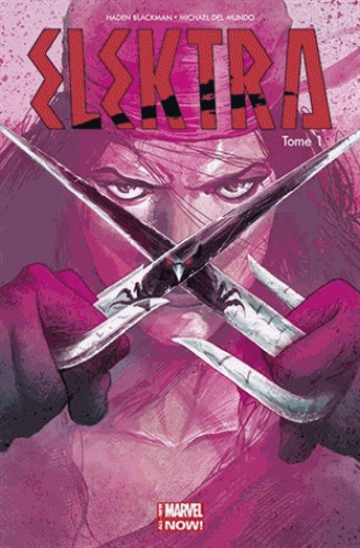  Elektra T1 : Le sang appelle le sang (0), comics chez Panini Comics de Blackman, Del Mundo