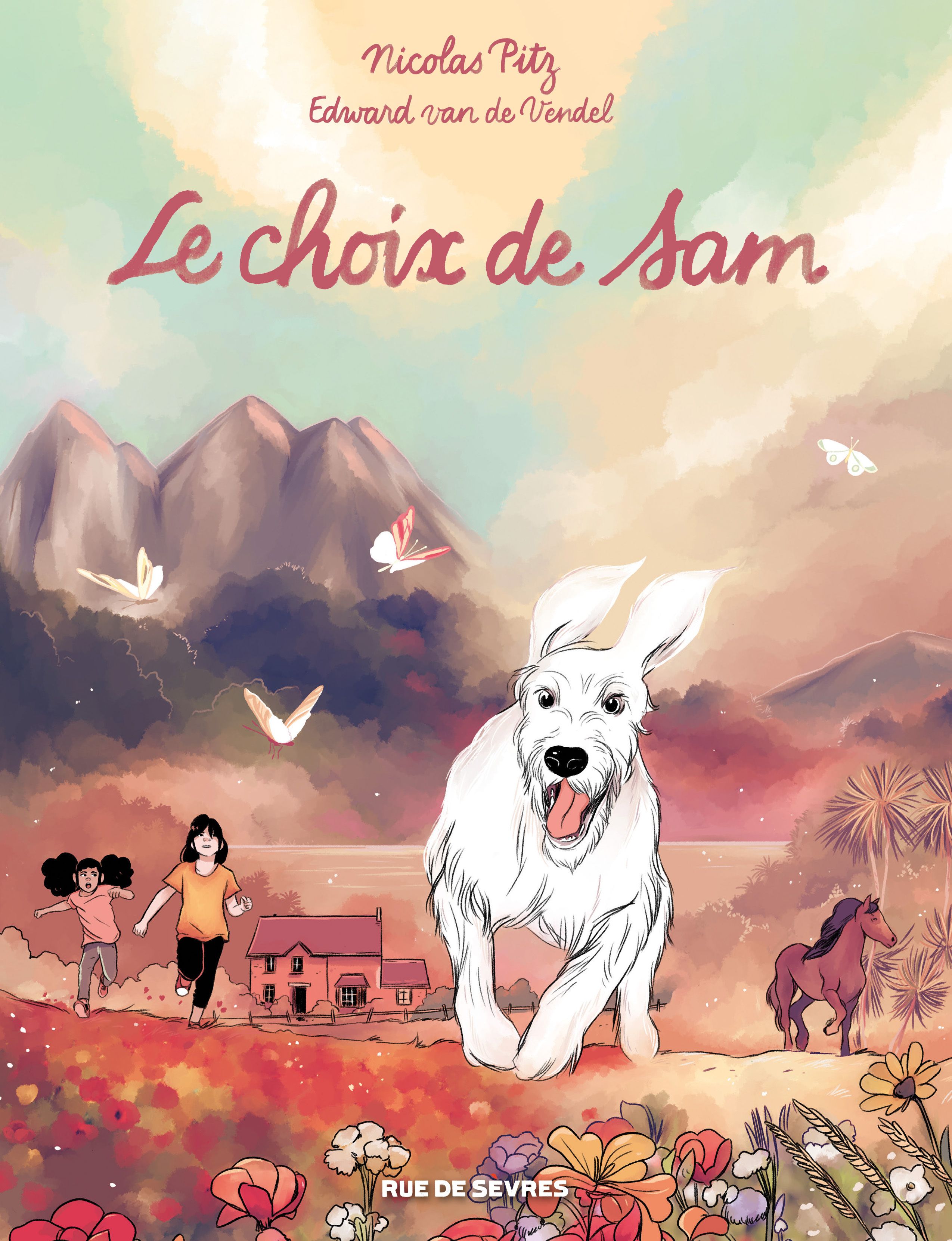 Le Choix de Sam, bd chez Rue de Sèvres de Pitz