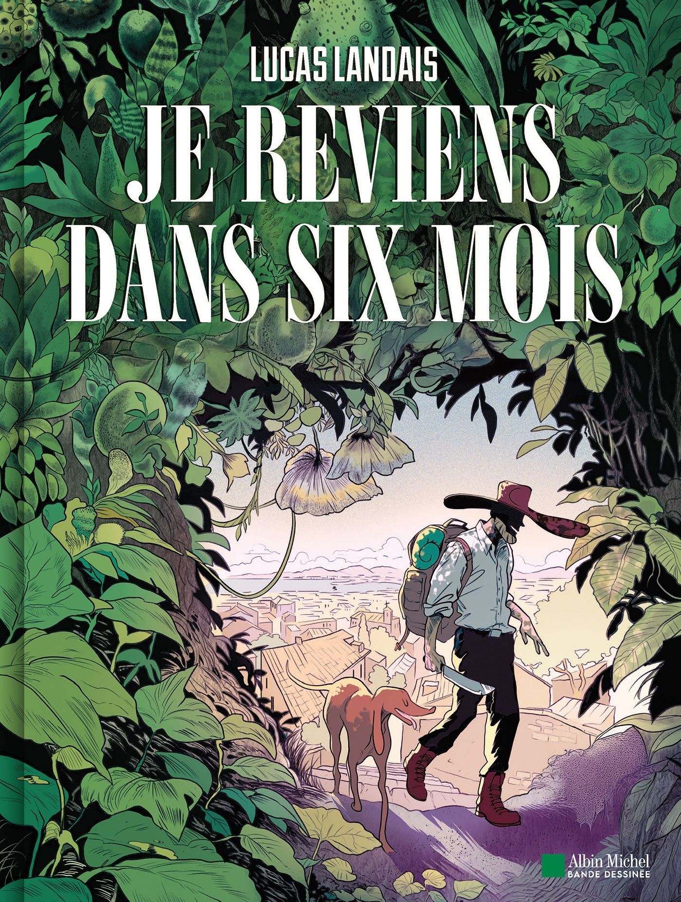Je reviens dans six mois, bd chez Albin Michel de Landais, Cellier