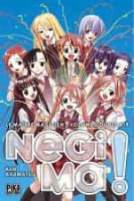  Negima - édition double  T19, manga chez Pika de Akamatsu
