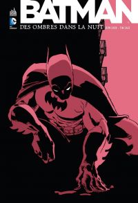 Batman - Des ombres dans la nuit, comics chez Urban Comics de Loeb, Puckett, Sale, Stewart, Wright