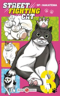  Street fighting cat T3, manga chez Bamboo de Nakatema