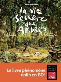 La Vie secrète des arbres, bd chez Les arènes de Bernard, Flao