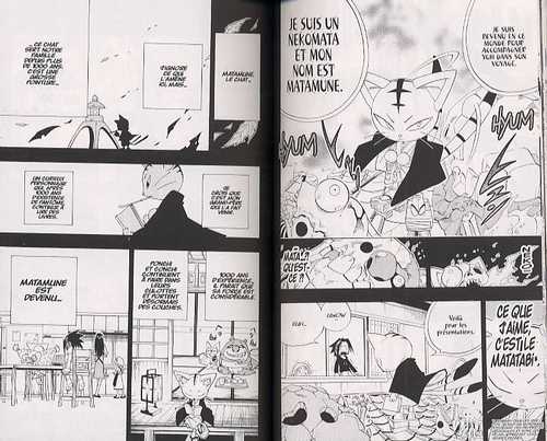  Shaman King T19, manga chez Kana de Takei