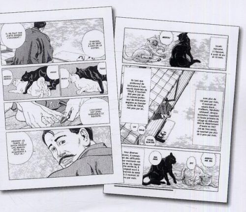Au temps de Botchan T1, manga chez Casterman de Sekikawa, Taniguchi