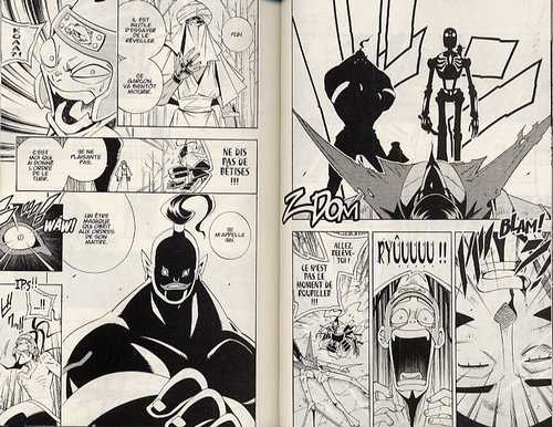  Shaman King T22, manga chez Kana de Takei