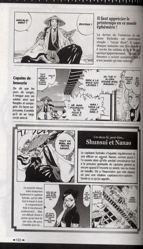 Bleach Official bootleg, manga chez Glénat de Kubo