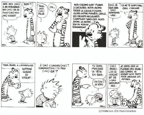  Calvin et Hobbes T19 : Que de misère humaine ! (0), comics chez Hors Collection de Watterson