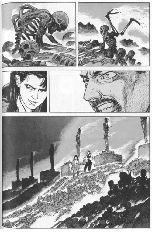 Seraphim '266613336WINGS', manga chez IMHO de Oshii, Kon