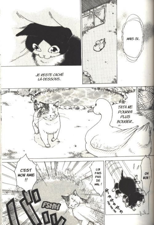  Miaou ! Le quotidien de Moustic T1, manga chez Nobi Nobi! de Kakio