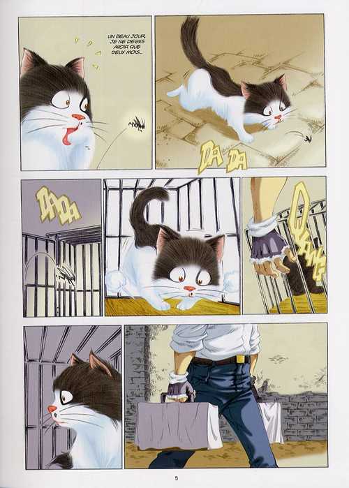  Niumao T1 : Gare au chat chinois ! (0), manga chez Xiao Pan de Ji An