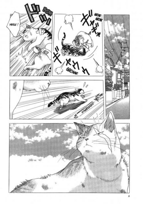  Miaou ! Big-Boss le magnifique  T1, manga chez Nobi Nobi! de Kakio