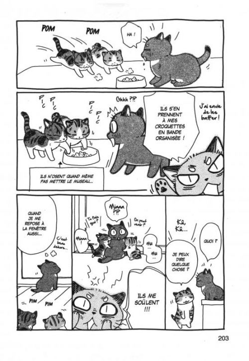  Plum, un amour de chat  T9, manga chez Soleil de Hoshino