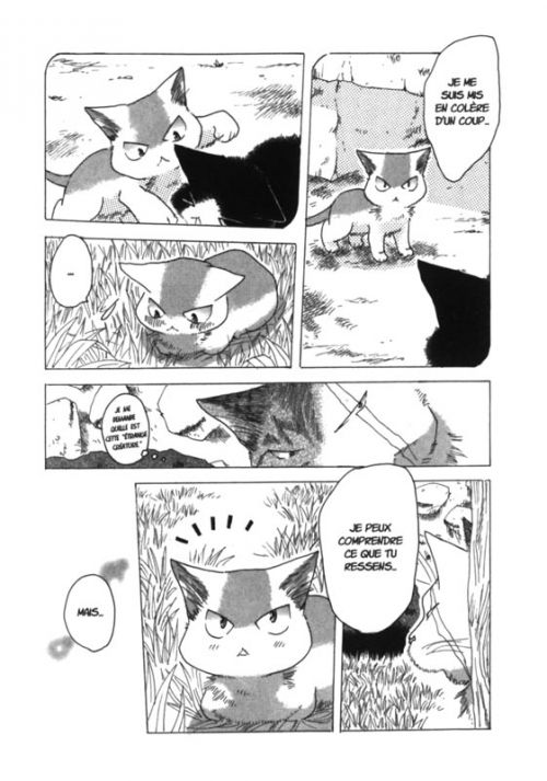  Miaou ! Big-Boss le magnifique  T3, manga chez Nobi Nobi! de Kakio
