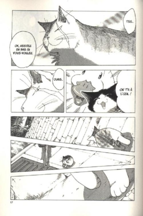  Miaou ! Big-Boss le magnifique  T4, manga chez Nobi Nobi! de Kakio
