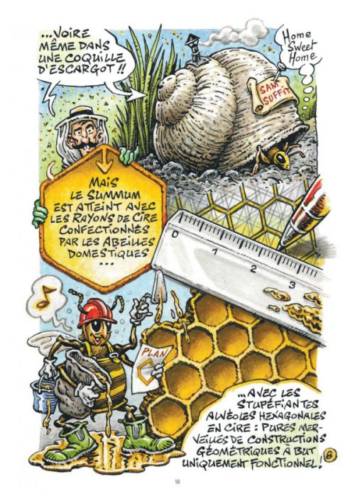 La Petite bédéthèque des savoirs T20 : Les abeilles (0), bd chez Le Lombard de le Conte, Solé