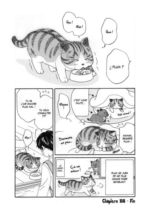  Plum, un amour de chat  T17, manga chez Soleil de Hoshino