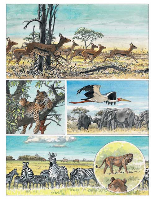 Afrika, bd chez Le Lombard de Hermann