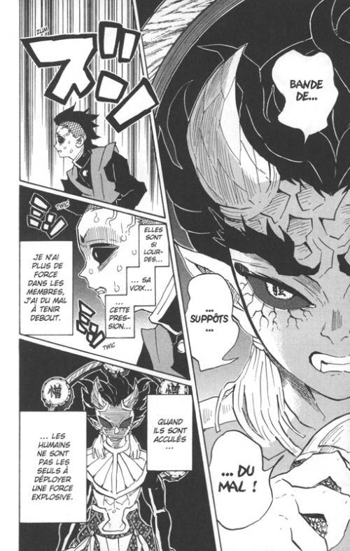  Demon slayer T14, manga chez Panini Comics de Gotouge