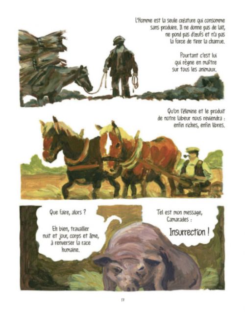 La Ferme des animaux, bd chez Grasset de Odyr