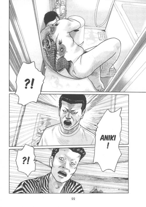  The fable T4, manga chez Pika de Minami