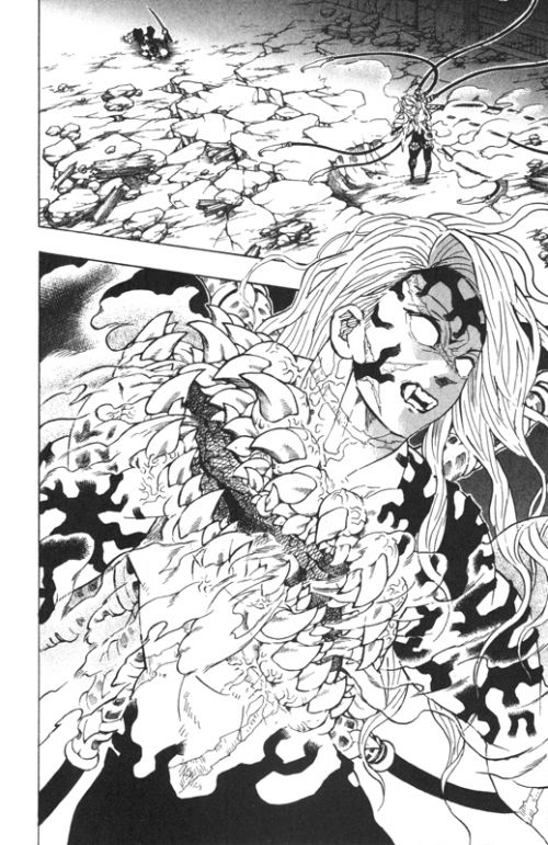  Demon slayer T23, manga chez Panini Comics de Gotouge