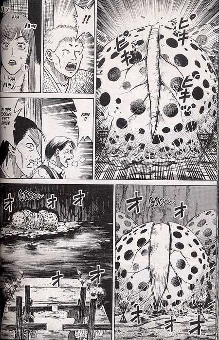  Higanjima T14, manga chez Soleil de Matsumoto