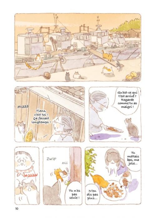 Le vieil homme et son chat T8 : Dorment sur leurs deux oreilles (0), manga chez Casterman de Nekomaki