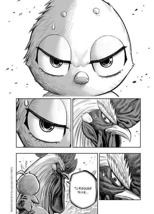  Rooster fighter T5, manga chez Mangetsu de Sakuratani