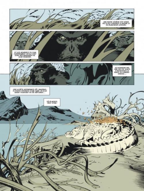 Le Dieu-fauve, bd chez Dargaud de Vehlmann, Ibanez